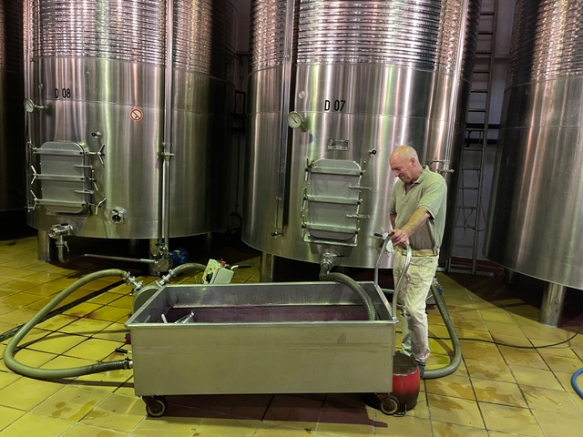 Nané during la vendímia.«Old wines create the framework for nuances you will never find in a young wine». Photo © Bodegas Ramos-Paul